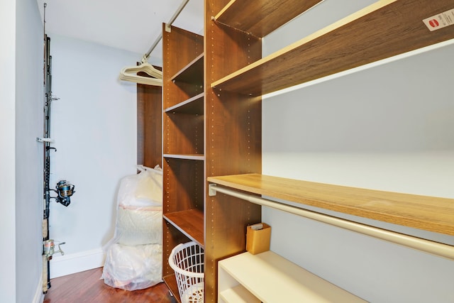 spacious closet featuring dark hardwood / wood-style flooring