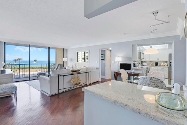 kitchen with pendant lighting, a water view, dark hardwood / wood-style floors, light stone countertops, and appliances with stainless steel finishes