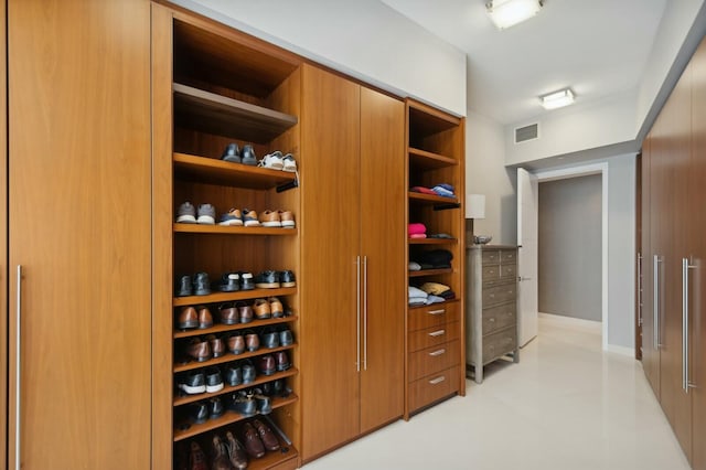 view of closet