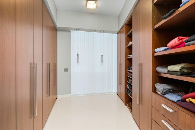 view of walk in closet