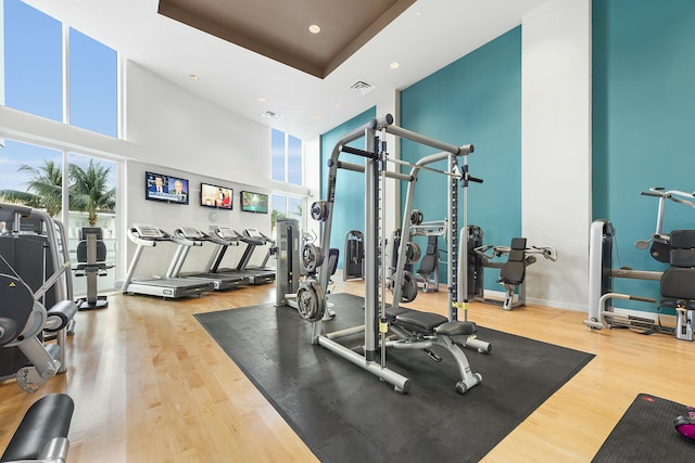 workout area with a high ceiling, a raised ceiling, and hardwood / wood-style floors