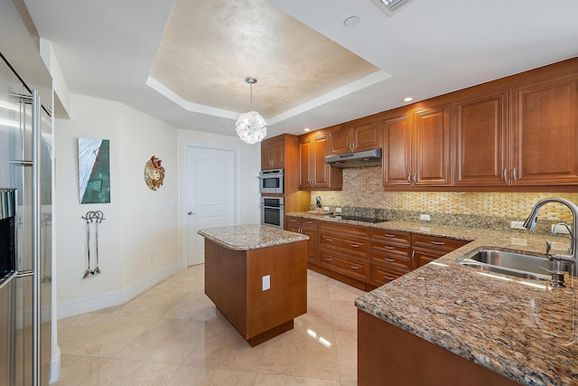 kitchen featuring appliances with stainless steel finishes, a raised ceiling, a sink, and under cabinet range hood