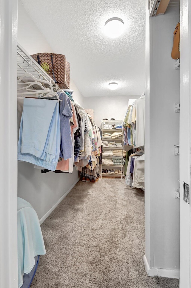 walk in closet featuring carpet