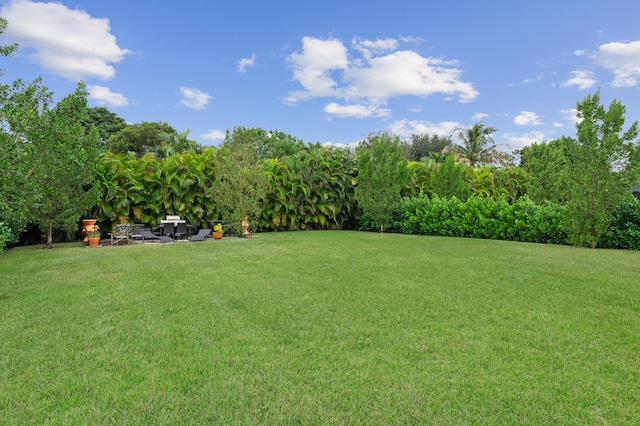 view of yard with a patio area