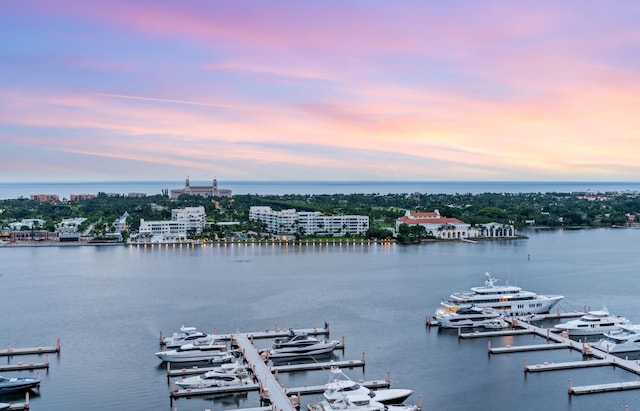 property view of water with a boat dock