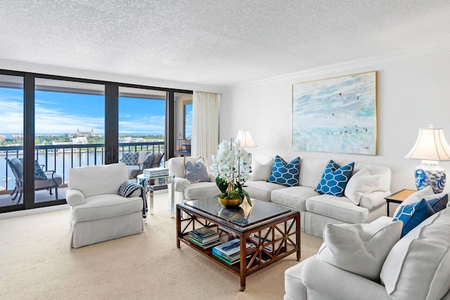 living room featuring a textured ceiling, ornamental molding, and carpet flooring