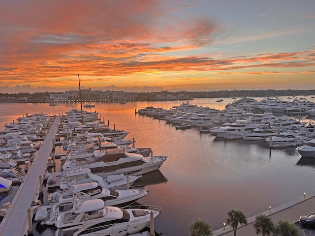 property view of water with a boat dock