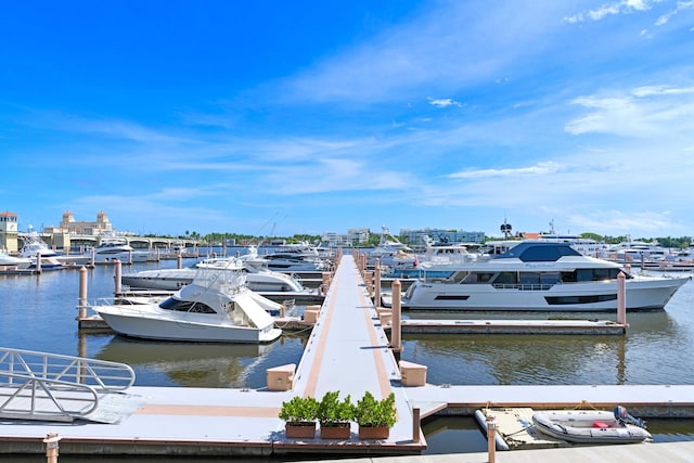 dock area with a water view