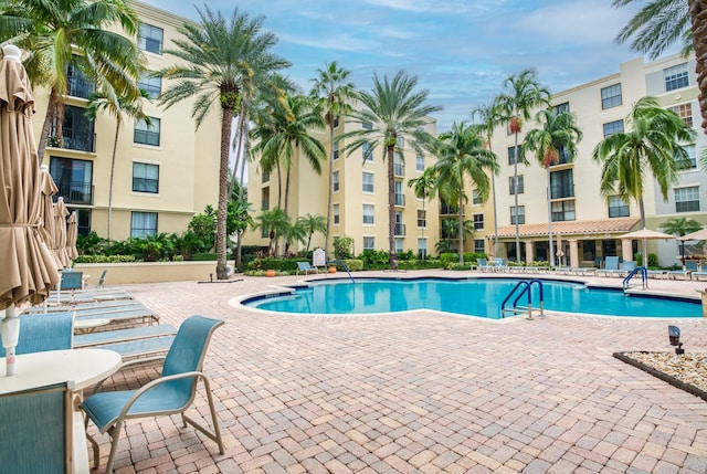 view of pool featuring a patio area