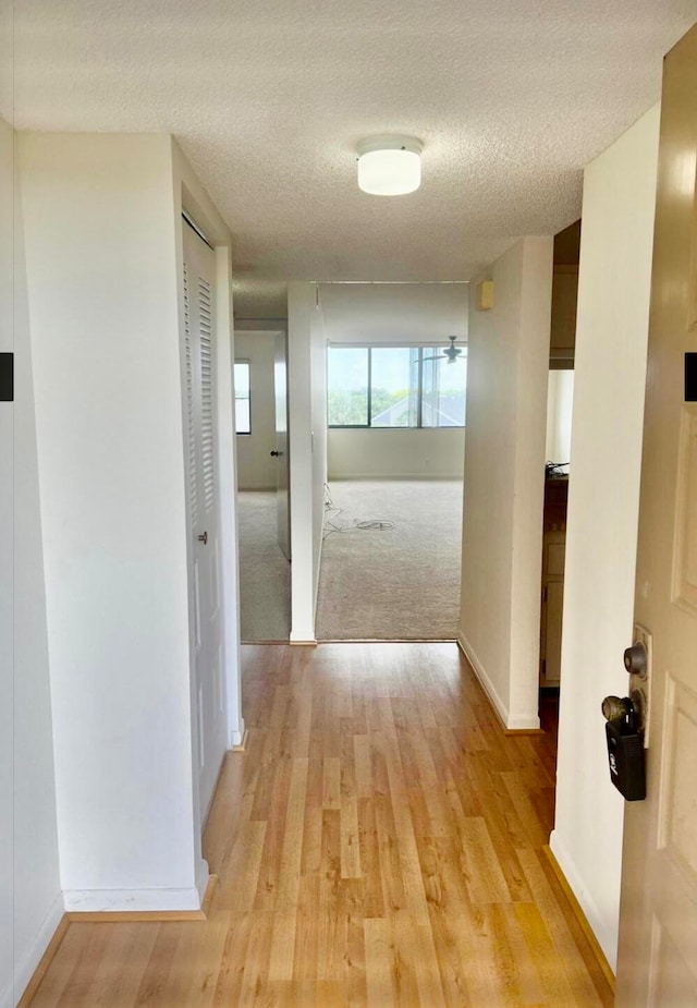 hallway with light hardwood / wood-style floors and a textured ceiling