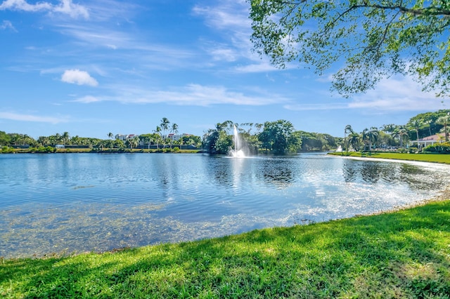 view of water feature