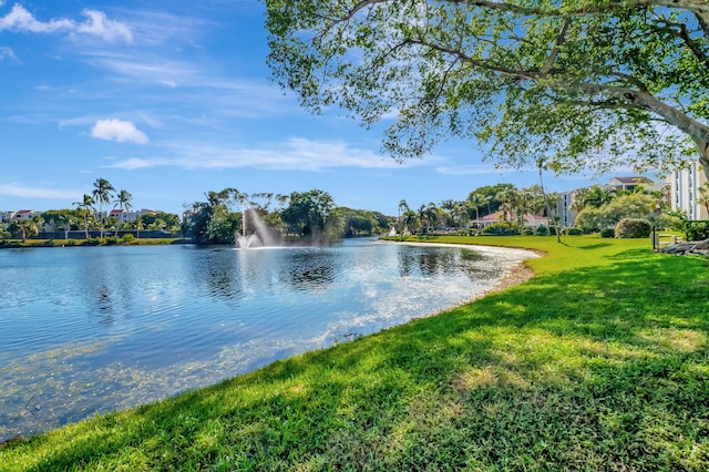 property view of water