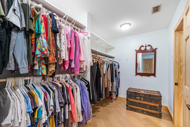 spacious closet featuring wood-type flooring