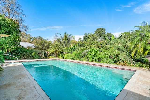 view of outdoor pool