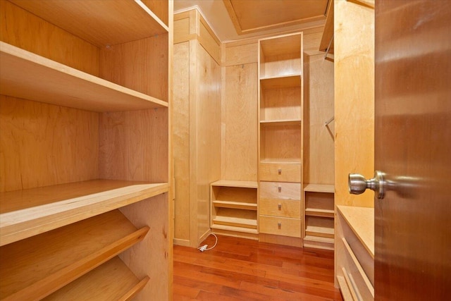 spacious closet with wood-type flooring