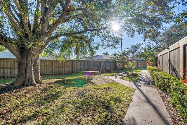 view of yard