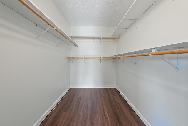 walk in closet featuring dark wood-type flooring