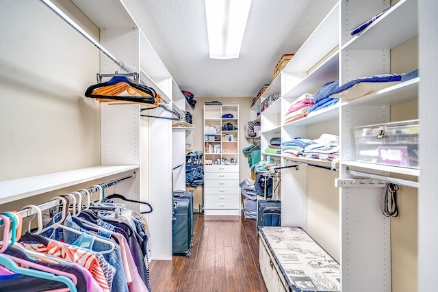 walk in closet with dark hardwood / wood-style flooring