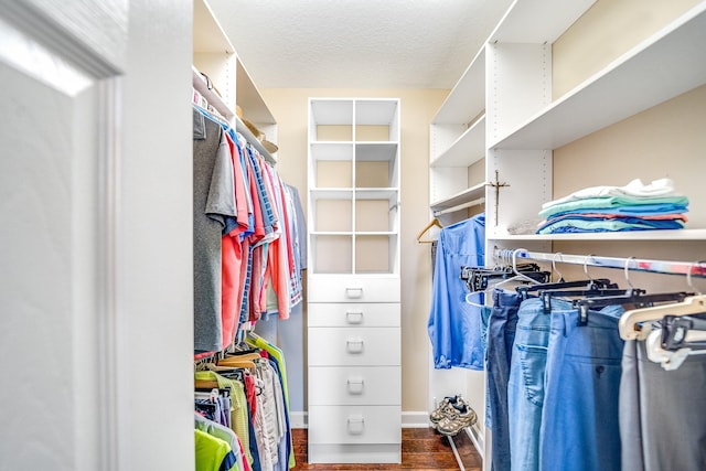 spacious closet with dark hardwood / wood-style floors