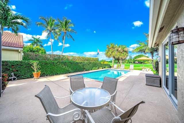 view of pool with a patio