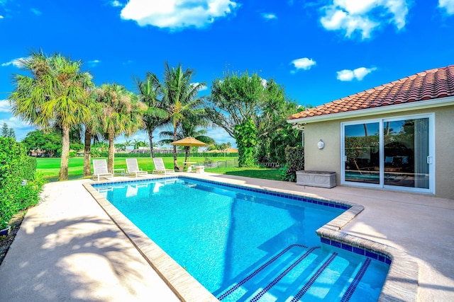 view of pool featuring a lawn and a patio