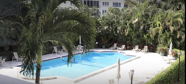 view of pool featuring a patio area