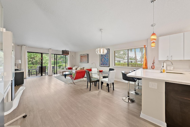 dining room featuring sink, light hardwood / wood-style floors, and a textured ceiling