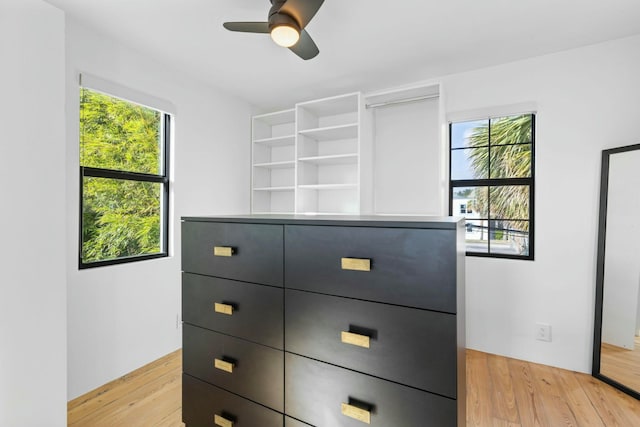 walk in closet with ceiling fan and light hardwood / wood-style flooring