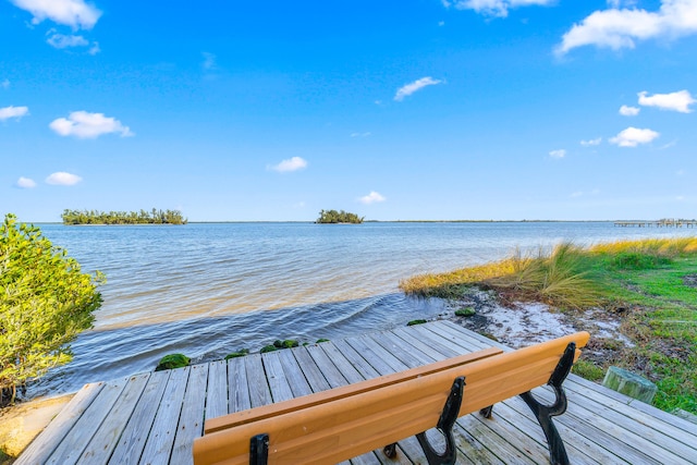 dock area featuring a water view