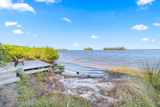 property view of water