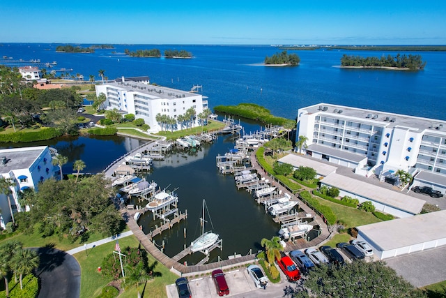 aerial view with a water view