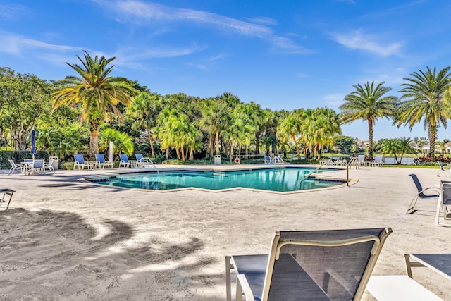 view of swimming pool with a patio