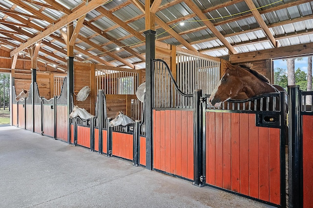 view of horse barn