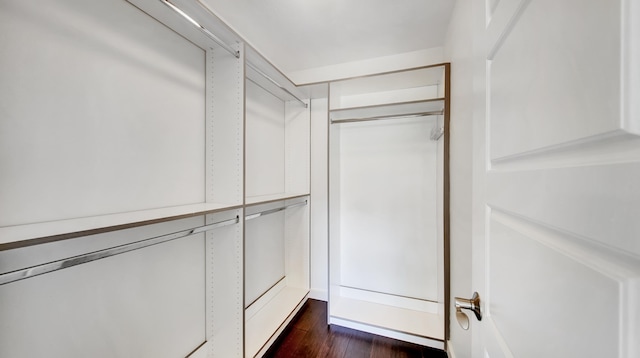 spacious closet with dark hardwood / wood-style floors