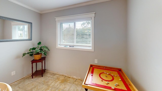 rec room with a wealth of natural light and ornamental molding