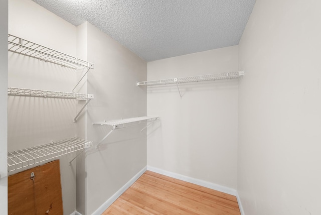 spacious closet with hardwood / wood-style flooring