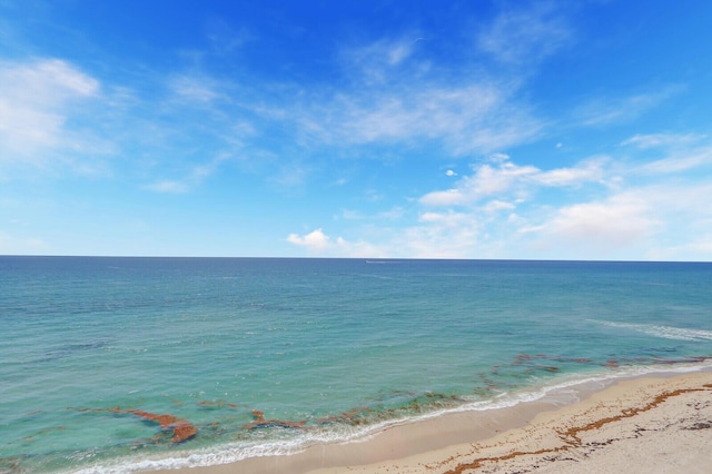 water view featuring a beach view