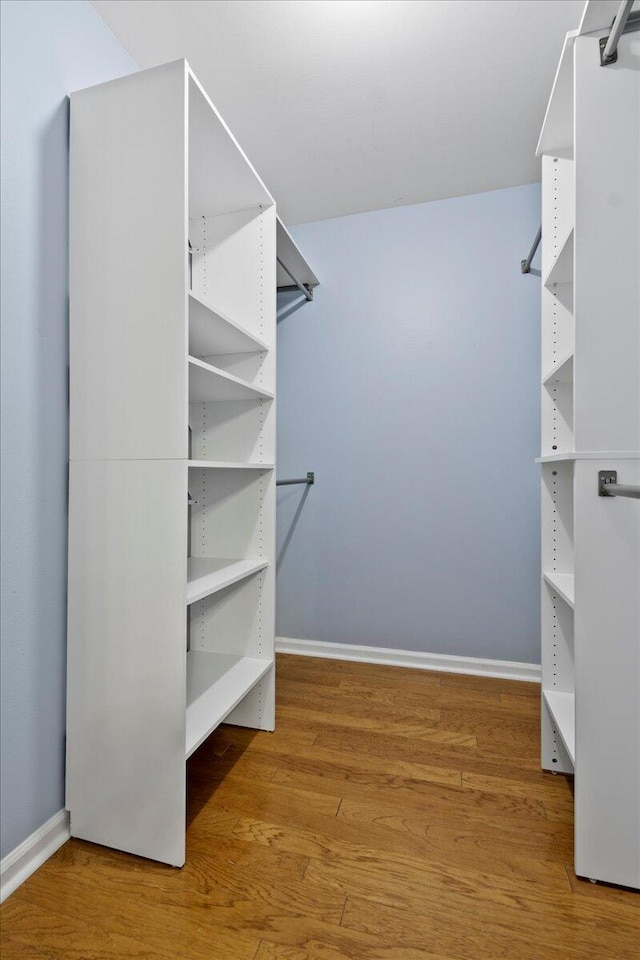 spacious closet with hardwood / wood-style floors