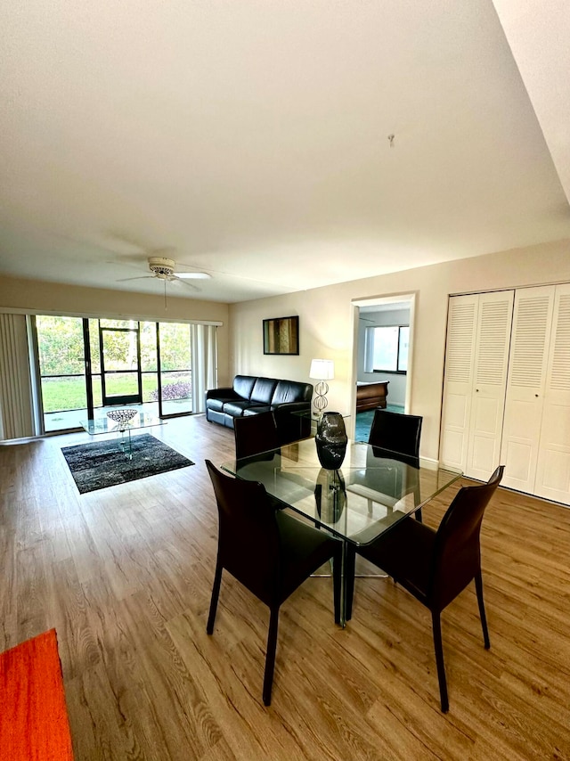 dining room featuring hardwood / wood-style flooring and ceiling fan