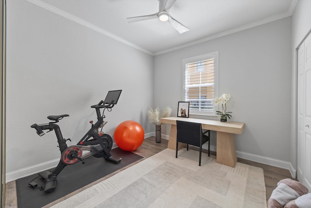 exercise area with light wood-type flooring, ceiling fan, and crown molding