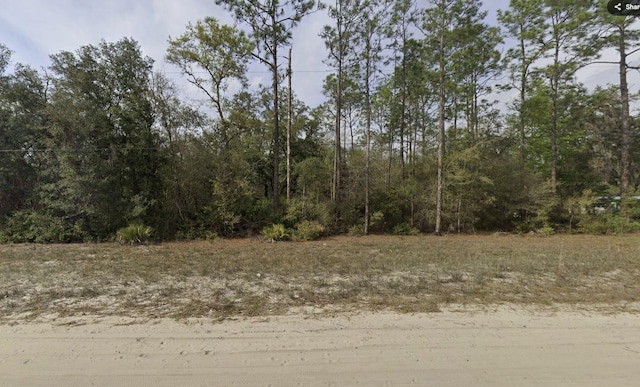 TBD Hudson St, Interlachen FL, 32148 land for sale