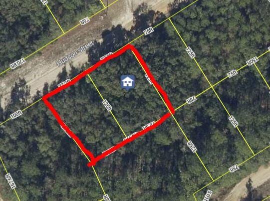 Listing photo 2 for TBD Hudson St, Interlachen FL 32148