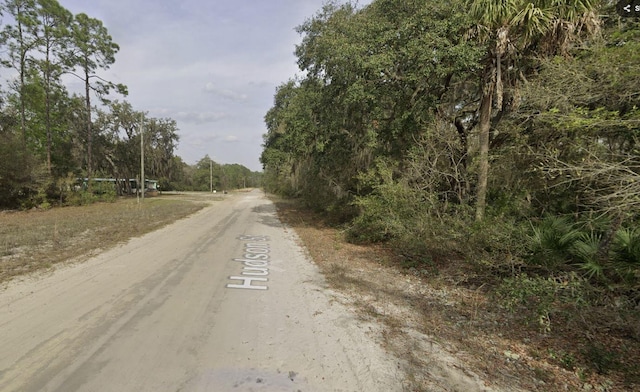 Listing photo 3 for TBD Hudson St, Interlachen FL 32148