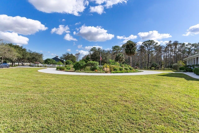 view of community with a lawn