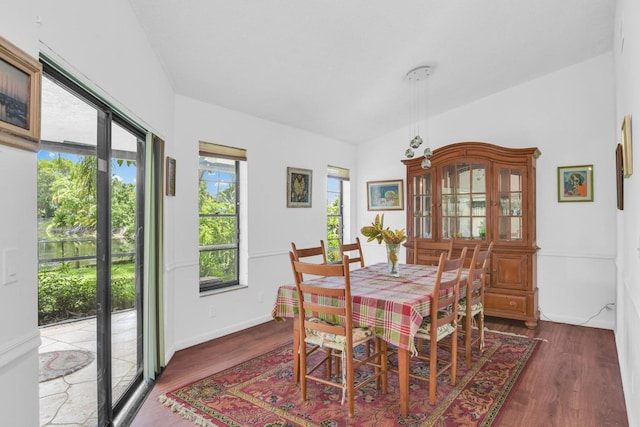 dining area featuring lofted ceiling and dark wood-type flooring