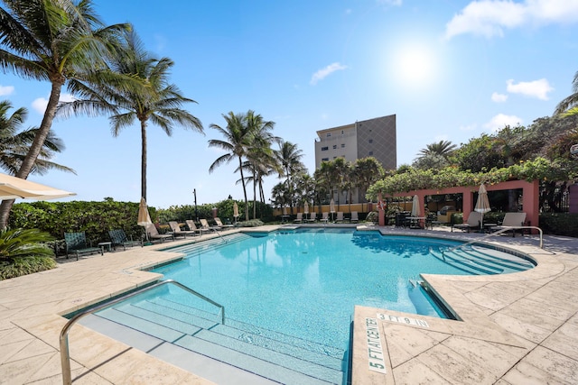 view of pool featuring a patio