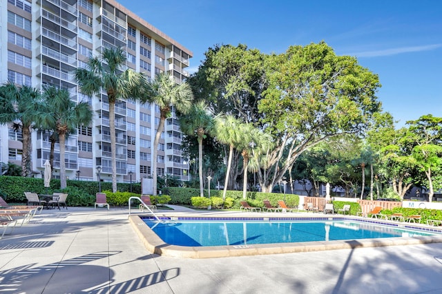 view of pool with a patio