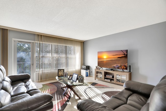 living room featuring a textured ceiling