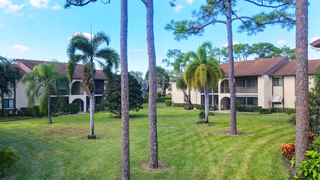 view of community with a lawn