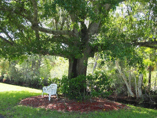 view of yard with a view of trees